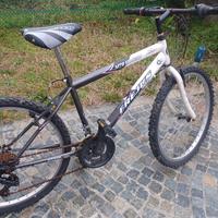 BICI da 24 per RAGZZO