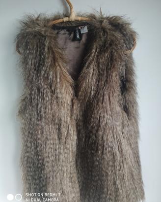 gilet