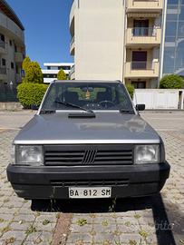 Fiat Panda cat hobby