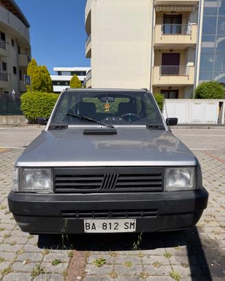 Fiat Panda cat hobby