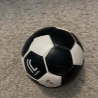 Pallone da Calcio