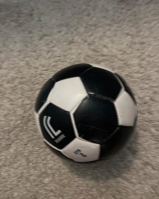 Pallone da Calcio