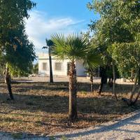 Villino a 100 metri dal mare