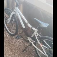 Bici ragazzo misura 24