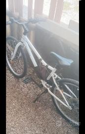 Bici ragazzo misura 24