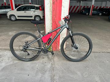 Mtb rochrider