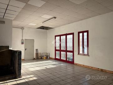 MULTILOCALE A PEGOGNAGA