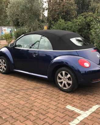 New beetle VW