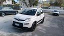 fiat-panda-panda-iii-2016-4x4-0-9-t-air-t-4x4-s