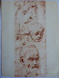 Studi di teste di Andrea del Sarto