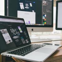 Social Media Manager