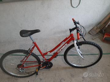 mountain bike