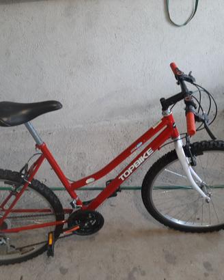 mountain bike