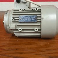 motore elettrico p 750w(1cv)