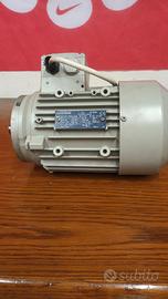 motore elettrico p 750w(1cv)