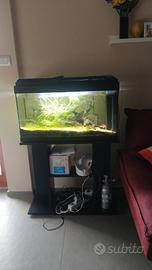 Acquario 80x30x50cm + mobiletto+molti  accessori 