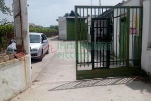 Capannone e terreno agricolo