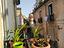 Immagine 24