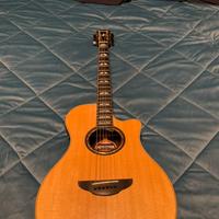 Yamaha APX1200 II incl. custodia originale