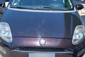 fiat   punto full potional