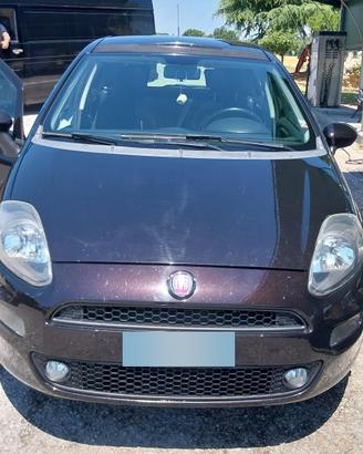 fiat   punto full potional