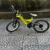 Bicicletta 20’
