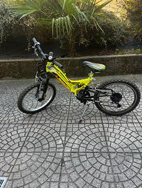 Bicicletta 20’