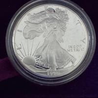 moneta argento American eagle