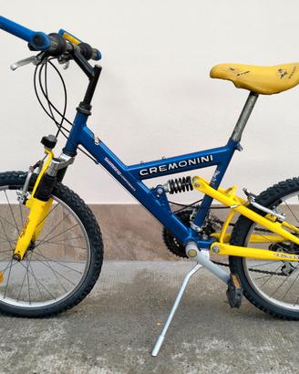 Bici MTB