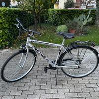 Bici uomo citybike