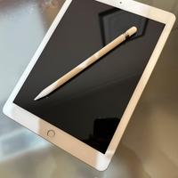 Apple ipad