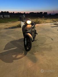 Scarabeo 50
