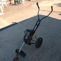 DECESPUGLIATORE  SU  CARRELLO