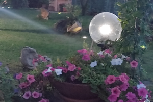 Spazioso bilocale San Teodoro