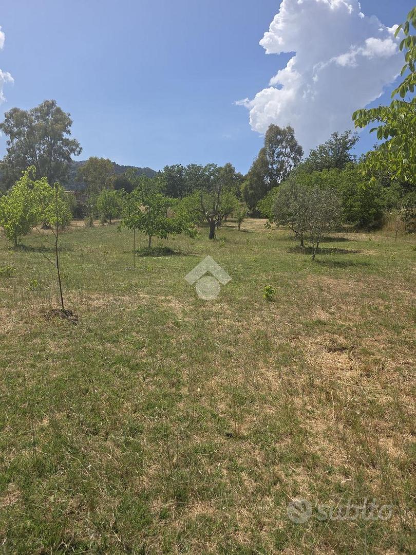 TER. AGRICOLO A PIANA DEGLI ALBANESI - Vista 4