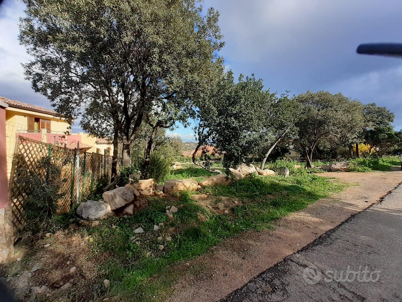 POGGIO DEI PINI TERRENO EDIFICABILE 1400 MQ - Vista 4