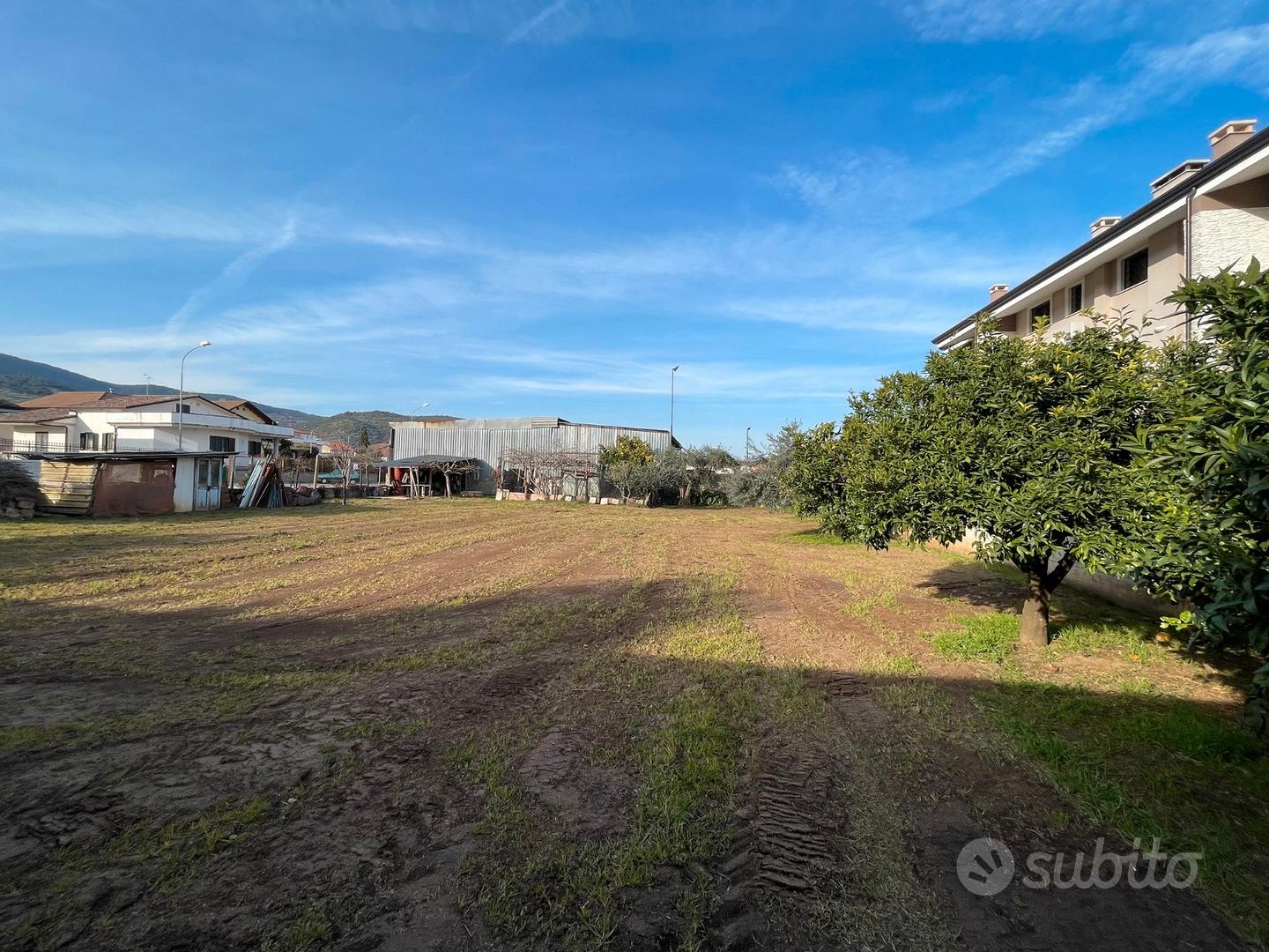 Terreno edificabile - Falciano del Massico (CE) - Vista 5
