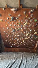 Parete di Arrampicata