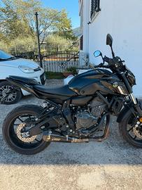 MT 07 2023