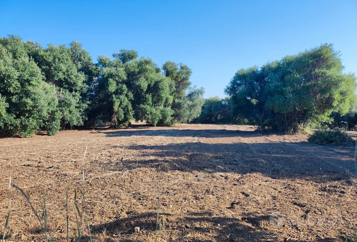Terreno agricolo 1800mq. Barcellona Pozzo di Gotto - Vista 3
