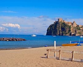 Ischia Appartamento vacanze last minute agosto/set