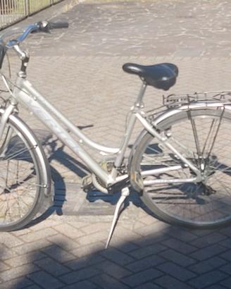 bicicletta donna