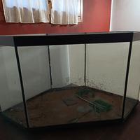 acquario vasca angolare 220 litri