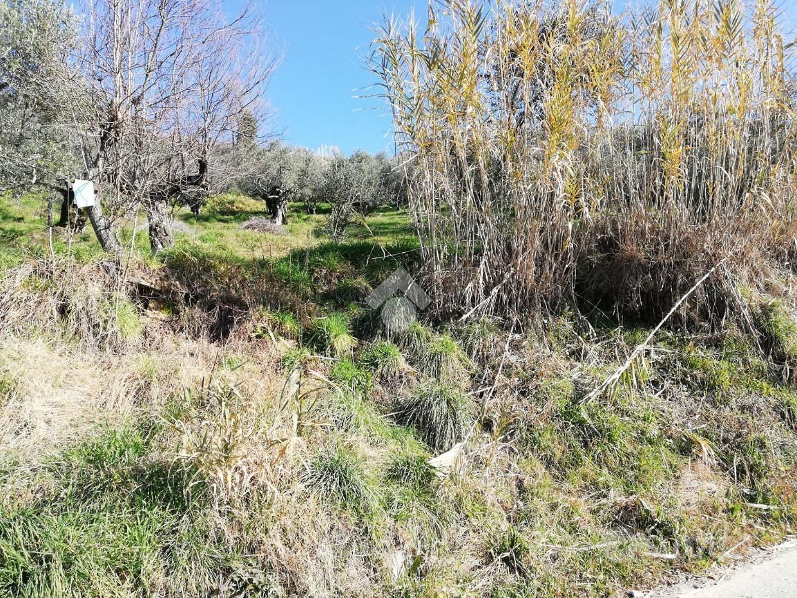 TER. RESIDENZIALE A OLEVANO ROMANO - Vista 2