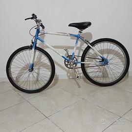 Bici pronta per le passeggiate estive!