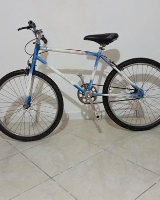 Bici pronta per le passeggiate estive!