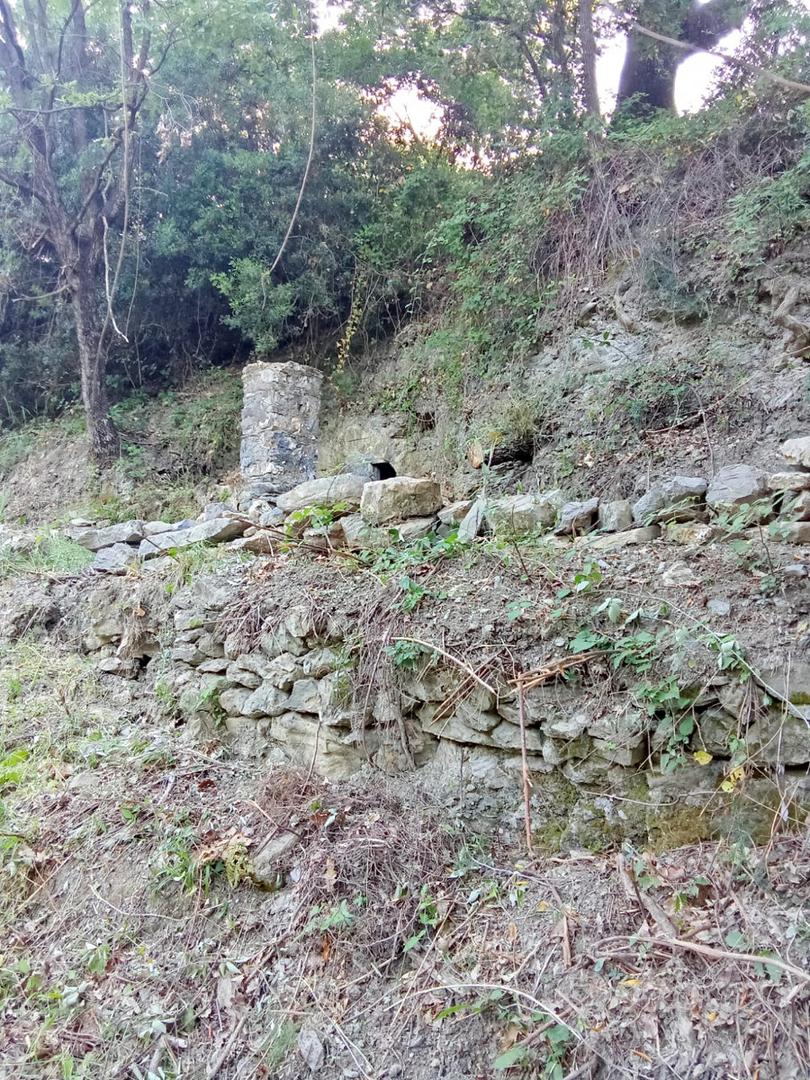 Terreni con ruderi in accatastamento a Caprioli - Vista 4