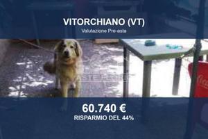 Immobile in asta di 123 m² a Vitorchiano