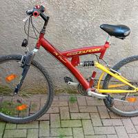 bicicletta 