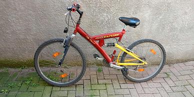 bicicletta 